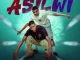 Classic Deep & six40 – Asilwi (EP) Album