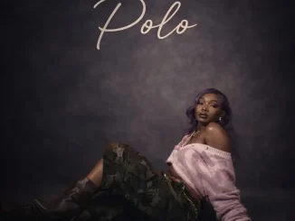Guchi – Polo