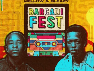 Mellow & Sleazy – Barcadi Fest Album