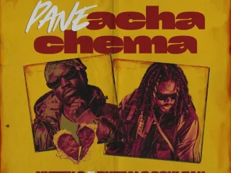 Nutty O - Pane Acha Chema ft. BUFFALO SOULJAH