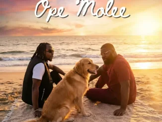ePianoh – Ope Molee