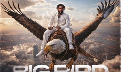 Lyrical Joe – Oheneba Abronoma (Big Bird)