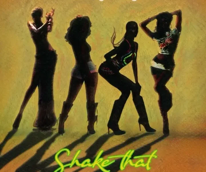 Patoranking – Shake That Ft. Ruger