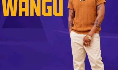 Robytone – Wangu