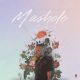 Carnival King – MASHELE Album