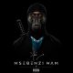 iFani – Msebenzi Wam Album