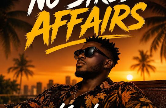 Kwabz – No Stress Affairs Album