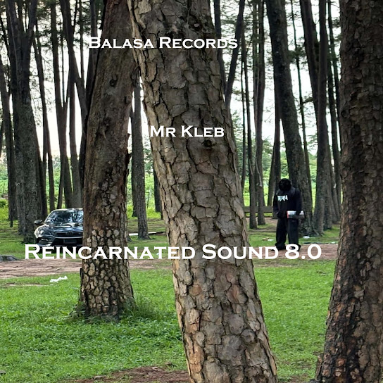 Mr Kleb - Reincarnated Sound 8.0